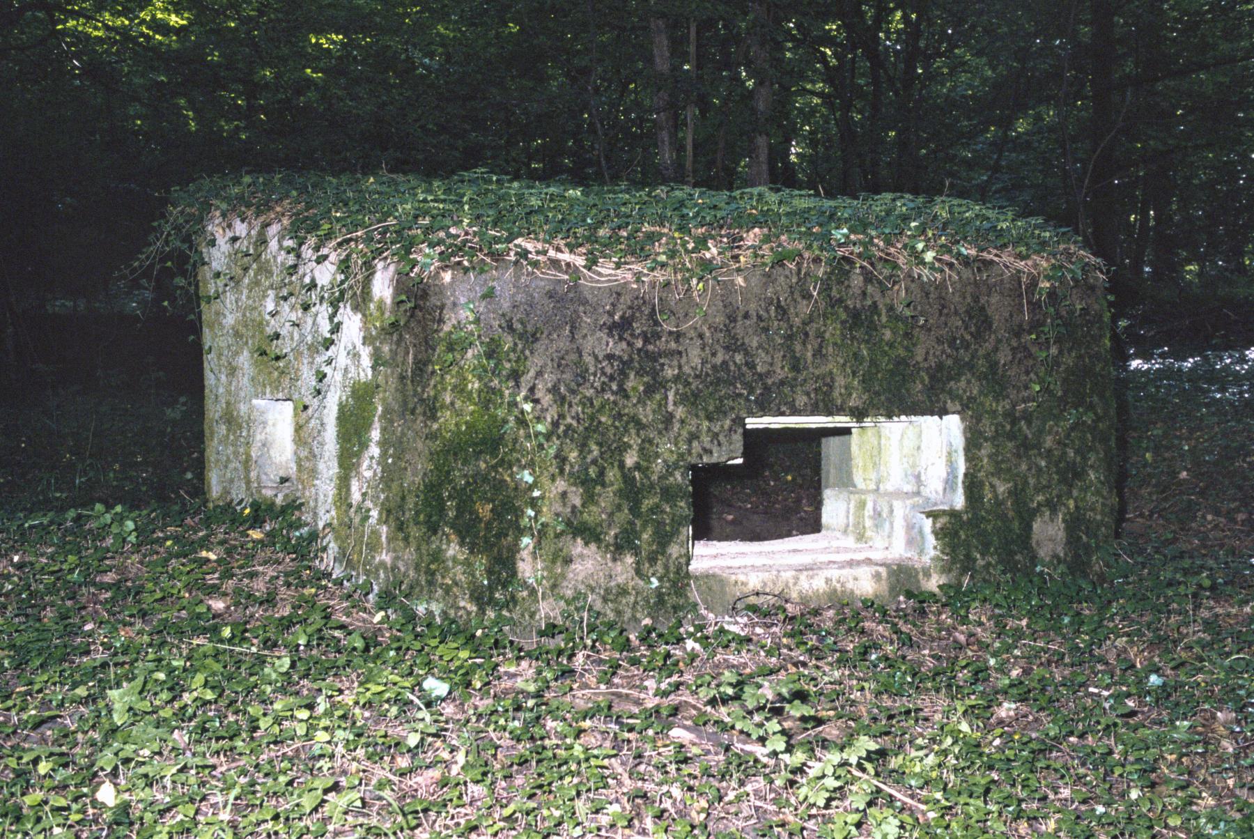 Ligne Maginot - CBO2 - (Blockhaus pour canon) -  - MANSUY Michel