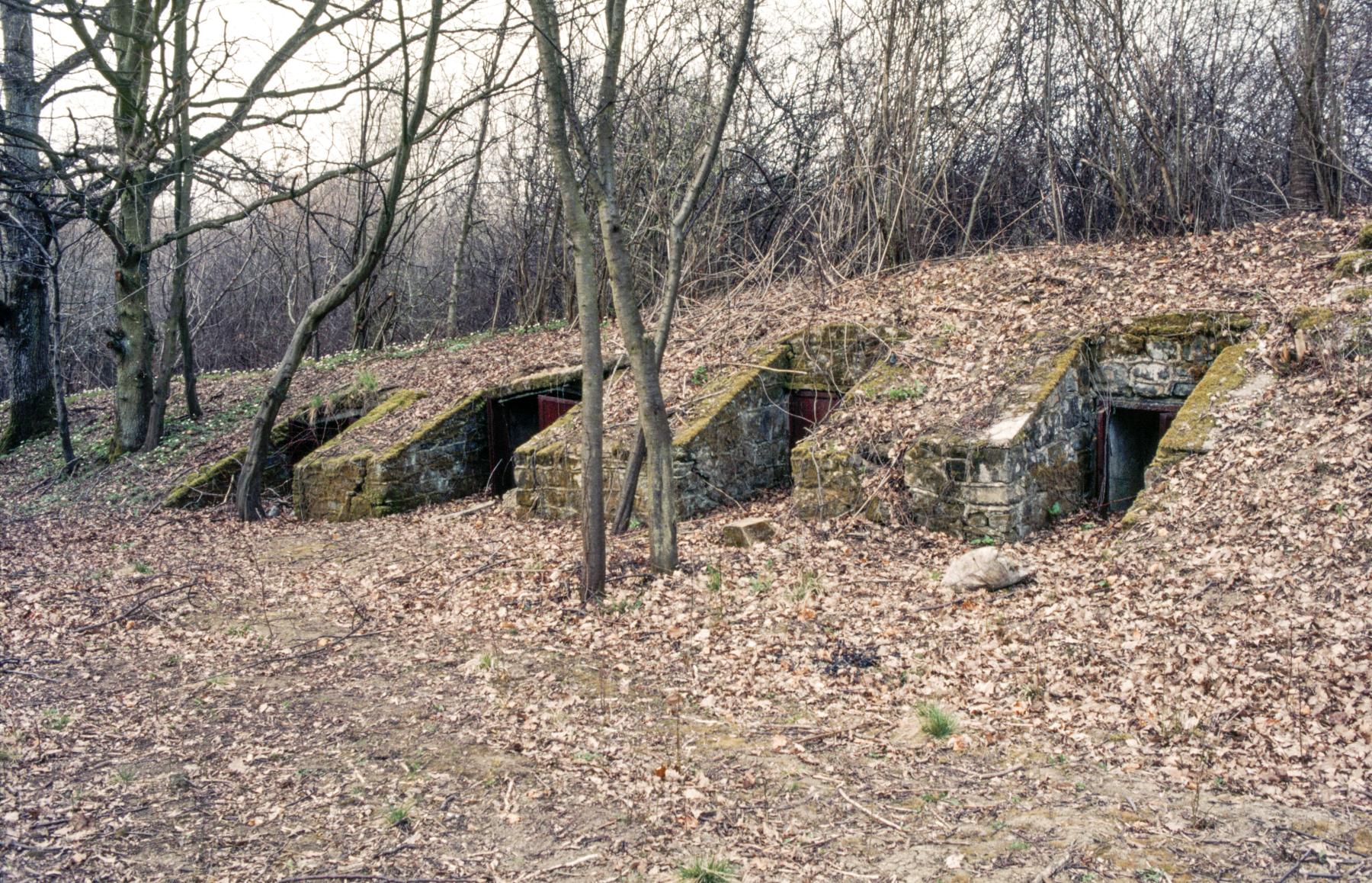 Ligne Maginot - BOIS KARRE - A12 - (Ouvrage d'infanterie) - Niches - MANSUY Michel
