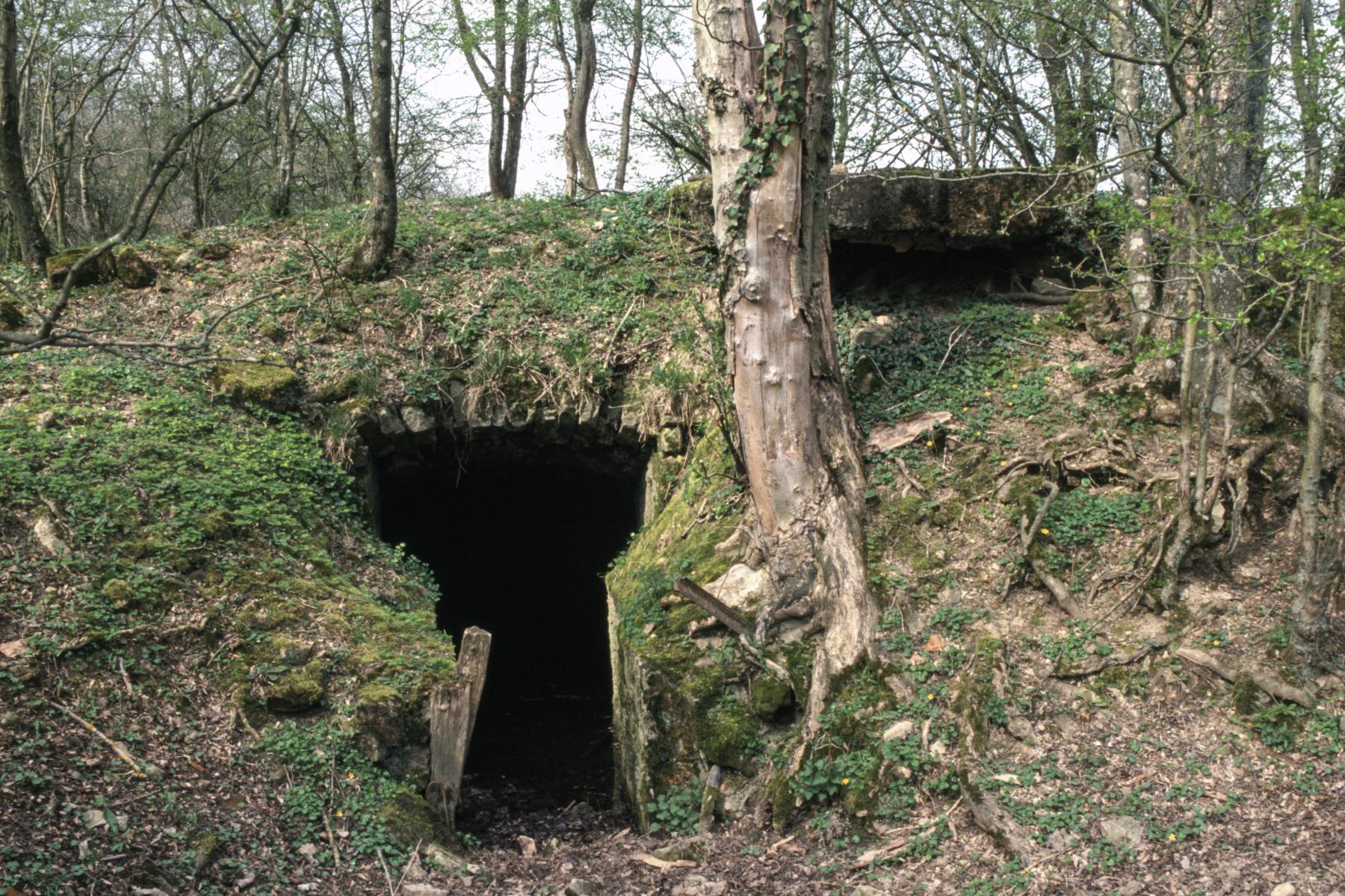 Ligne Maginot - BORNUNGSHOFF (6° CM) - ALVéOLE 1 - (PC de Sous-Quartier) -  - MANSUY Michel