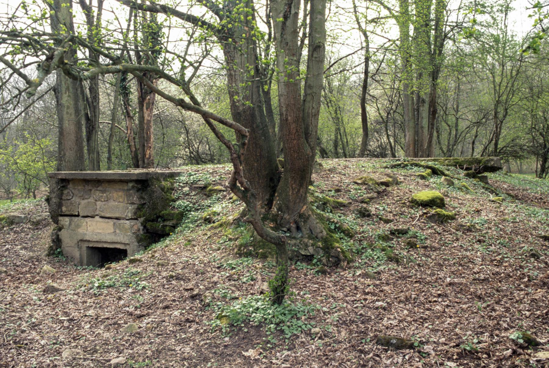 Ligne Maginot - BORNUNGSHOFF (6° CM) - ALVéOLE 1 - (PC de Sous-Quartier) -  - MANSUY Michel