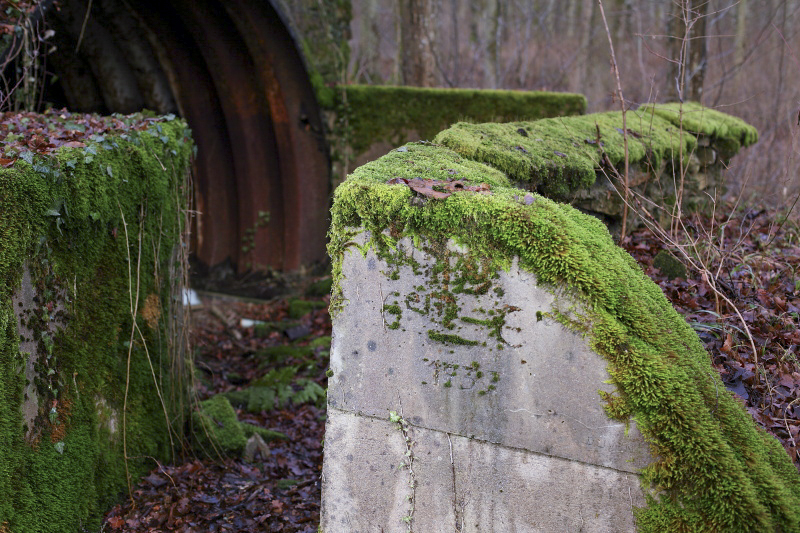 Ligne Maginot - BORNUNGSHOFF (6° CM) - ALVéOLE 3 - (PC de Sous-Quartier) - Une inscription, datée de 1937, est visible sur la construction. - www.arnaultjl-photo.com