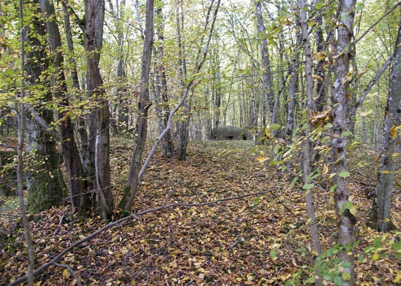 Ligne Maginot - BOIS KARRE - X12 (Abri) - 