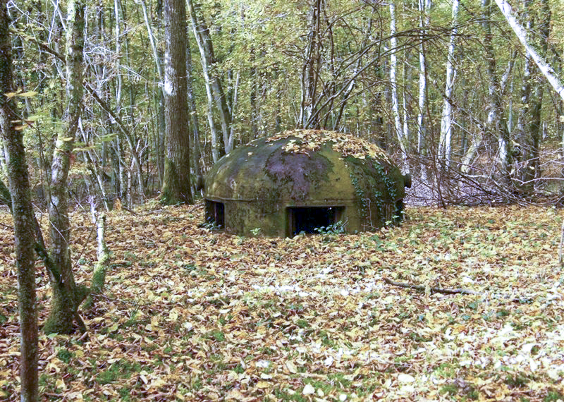 Ligne Maginot - BOIS KARRE - X12 (Abri) - 