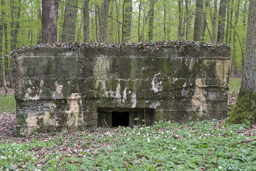Ligne Maginot - CB89 - BORNUNGSHOFF 1 - (Blockhaus pour arme infanterie) -  - Michel Teiten