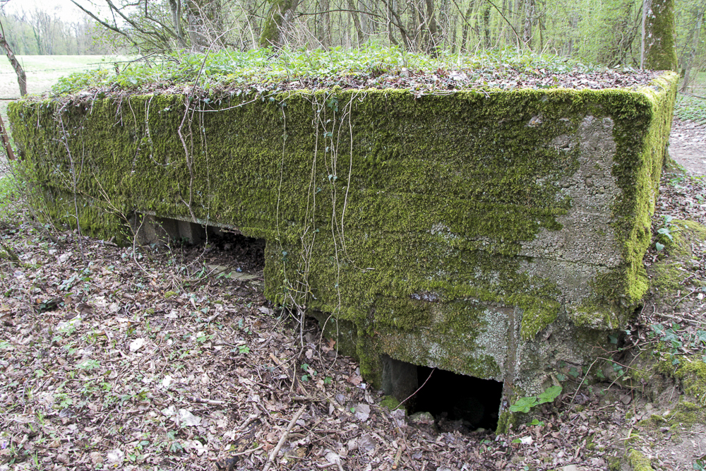 Ligne Maginot - CB89-B - BORNUNGSHOFF 3 - (Blockhaus pour arme infanterie) -  - Michel Teiten