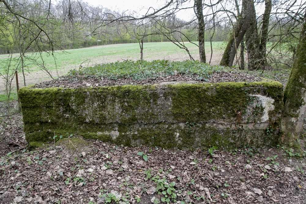 Ligne Maginot - CB89-B - BORNUNGSHOFF 3 - (Blockhaus pour arme infanterie) -  - Michel Teiten