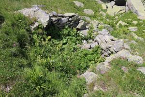 Ligne Maginot - NOTRE-DAME DES NEIGES 2 - (Blockhaus pour arme infanterie) - La cuve FM 
