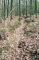 Ligne Maginot - CB89-A - BORNUNGSHOFF 2 - (Blockhaus pour arme infanterie) - Tranchée d'accès