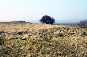 Ligne Maginot - COUME VILLAGE - A29 - (Ouvrage d'infanterie) - Bloc 1