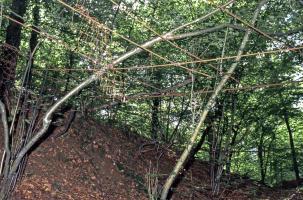 Ligne Maginot - BOIS D'ESCHERANGE - X3 (QUARTIER KANFEN - I/169°RIF) - (Abri) - Restes des filets de camouflage
