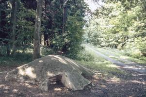 Ligne Maginot - HUEHNERBERG 3 - (Blockhaus pour arme infanterie) - 