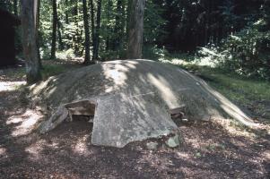 Ligne Maginot - HUEHNERBERG 3 - (Blockhaus pour arme infanterie) - 