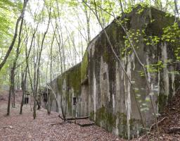 Ligne Maginot - MONT DES WELCHES - X25 - (Abri) - 
