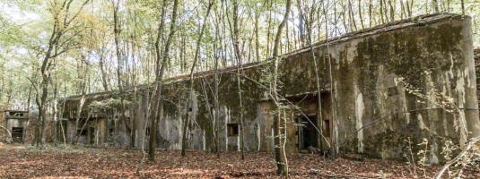 Ligne Maginot - MONT DES WELCHES - X25 - (Abri) - La façade de l'abri