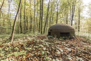 Ligne Maginot - MONT DES WELCHES - X25 - (Abri) - Cloche GFM type A