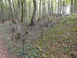 Ligne Maginot - BILMETTE - X26 - (Abri) - 