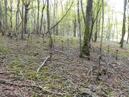 Ligne Maginot - BILMETTE - X26 - (Abri) - 
