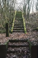 Ligne Maginot - ROUTE DU LUXEMBOURG - O10 - (Observatoire d'artillerie) - L'escalier vers l'entrée