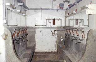 Ligne Maginot - GRAND LOT - X2 - (Abri) - Les pédiluves