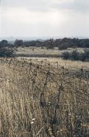 Ligne Maginot - ROCHONVILLERS - A8 - (Ouvrage d'artillerie) - Réseau de barbelés très dense