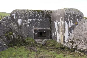 Ligne Maginot - BB31-C - KAPPELPARK SUD - DENISE - (Blockhaus pour arme infanterie) - 