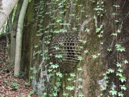 Ligne Maginot - METRICH - A17 - (Ouvrage d'artillerie) - Bloc 15
Grille d'aération.