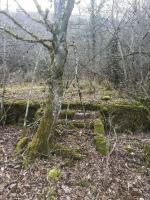 Ligne Maginot - METRICH - (Casernement) - Ruines du casernement
Les fondations d'une baraque et son escalier