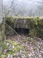 Ligne Maginot - METRICH - (Casernement) - Ruines du casernement
Les fondations d'une baraque et sa cave