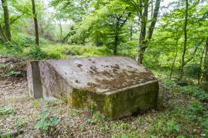 Ligne Maginot - MITTELSWALD 1 - (Blockhaus pour arme infanterie) -             