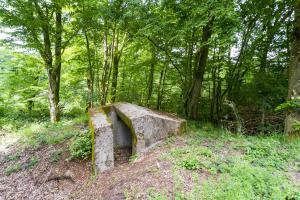 Ligne Maginot - MITTELSWALD 1 - (Blockhaus pour arme infanterie) -              