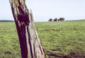 Ligne Maginot - WEIHER 3 - (Blockhaus pour canon) - 