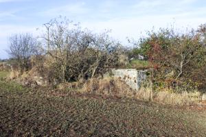 Ligne Maginot - RODENBERG 1 - (Blockhaus de type indéterminé) -          