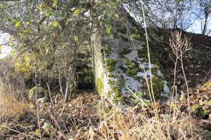 Ligne Maginot - RODENBERG 1 - (Blockhaus de type indéterminé) -           