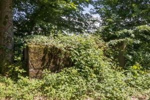 Ligne Maginot - SCHEIDWALD 8 - (Blockhaus pour arme infanterie) -                       
