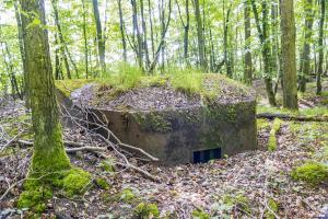 Ligne Maginot - TAUBRUNNENWALD 1 - (Blockhaus pour arme infanterie) - 