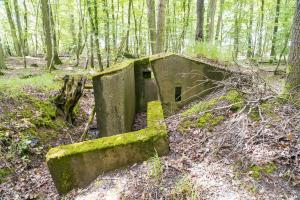 Ligne Maginot - TAUBRUNNENWALD 1 - (Blockhaus pour arme infanterie) - 