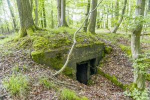 Ligne Maginot - TAUBRUNNENWALD 3 - (Abri) -             