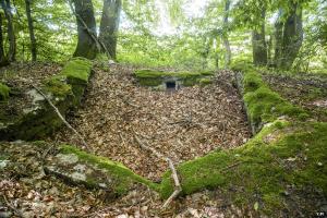 Ligne Maginot - TAUBRUNNENWALD 9 - (Blockhaus pour arme infanterie) -                                             