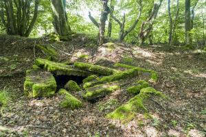 Ligne Maginot - TAUBRUNNENWALD 8 - (Blockhaus de type indeterminé) -                        