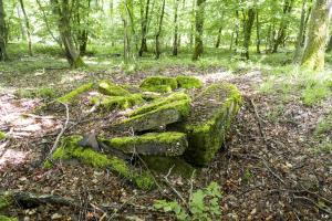 Ligne Maginot - TAUBRUNNENWALD 8 - (Blockhaus de type indeterminé) -                         