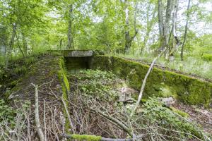 Ligne Maginot - TAUBRUNNENWALD 12 - FT - (Blockhaus pour arme infanterie) - 