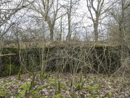 Ligne Maginot - VALETTE NORD OUEST - (Blockhaus pour arme infanterie) - 