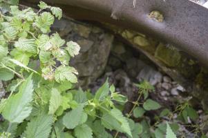 Ligne Maginot - COL DE RAUS (CR) - (Ouvrage d'infanterie) - Tranchée couverte T2