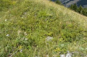 Ligne Maginot - COL DE RAUS (CR) - (Ouvrage d'infanterie) - Cuve pour arme d'infanterie C7