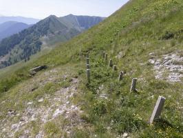 Ligne Maginot - COL DE RAUS (CR) - (Ouvrage d'infanterie) - Tranchée de liaison