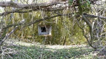 Ligne Maginot - LES TRICHES 1 - (Blockhaus pour canon) - Créneau de défense latéral