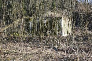 Ligne Maginot - LONGLAVILLE EST - (Blockhaus pour canon) - Ce blockhaus est implanté à présent dans une propriété privée en bordure de la route qui conduit au chantier d'exploitation du crassier de Longlaville. Situé derrière une haie d'arbres il n'est guère visible de la grand route.D'où une photo tres peu parlante