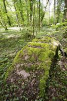 Ligne Maginot - BOIS DE BEUVEILLE - (Casernement) - Vestiges