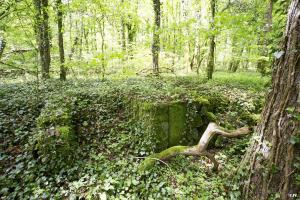 Ligne Maginot - BOIS DE BEUVEILLE - (Casernement) - Vestiges