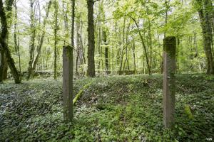 Ligne Maginot - BOIS DE BEUVEILLE - (Casernement) - Vestiges